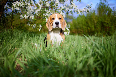 Similar image 21406952