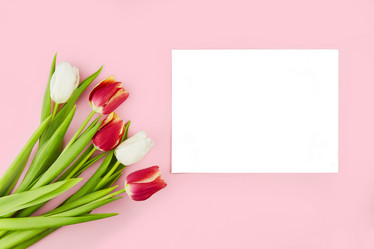 Similar image 21406956