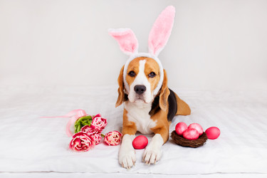 Similar image 21406958