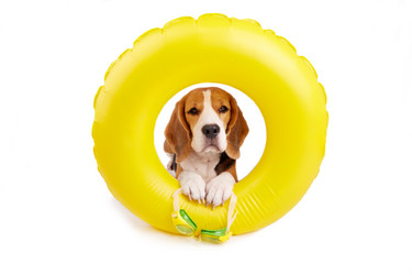 Similar image 21419555