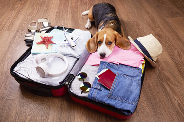 Similar image 21408712