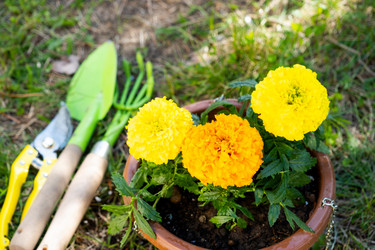 Similar image 21407622