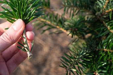 Similar image 21407629