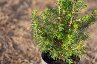 Similar image 21407633