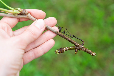 Similar image 21407636