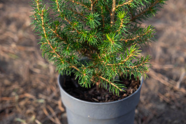 Similar image 21407637