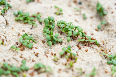 Similar image 21407638