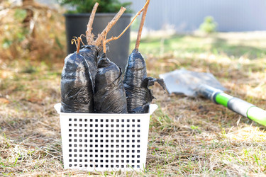 Similar image 21407649