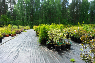 Similar image 21407650