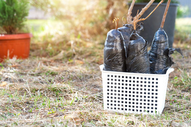 Similar image 21407651