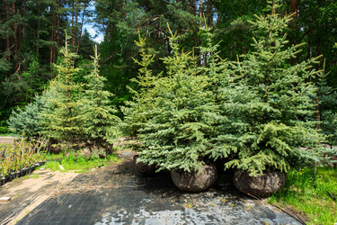 Similar image 21407652