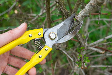 Similar image 21407654