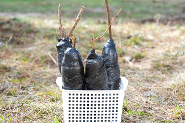 Similar image 21407655