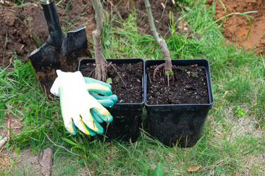 Similar image 21407660