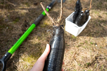 Similar image 21407663