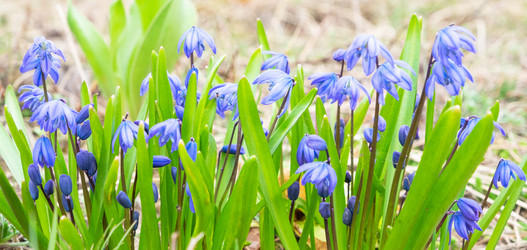 Similar image 21407667