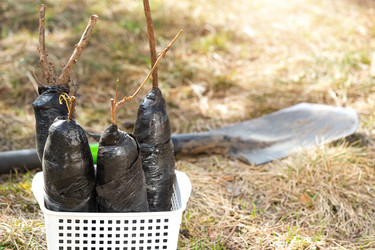 Similar image 21407669