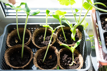 Similar image 21407673