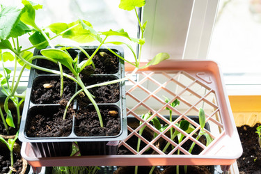 Similar image 21407677