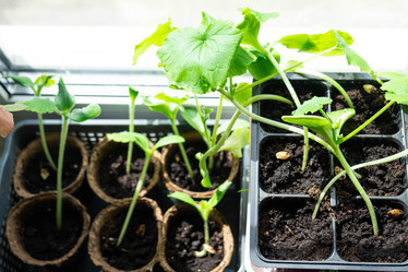 Similar image 21407679