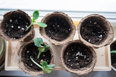 Similar image 21407681