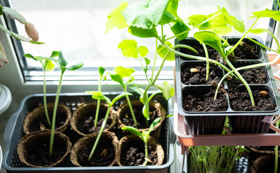 Similar image 21407683