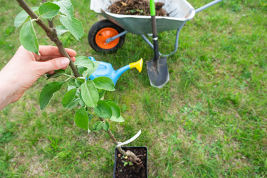 Similar image 21407686