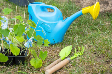 Similar image 21407687