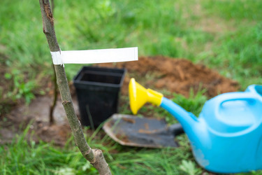 Similar image 21407688