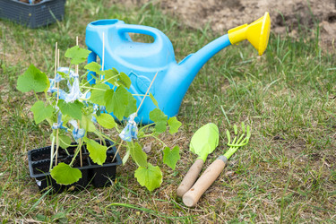 Similar image 21407689