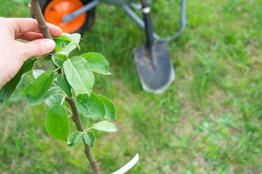 Similar image 21407692