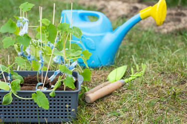 Similar image 21407693