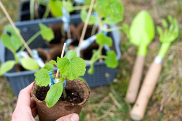 Similar image 21407697