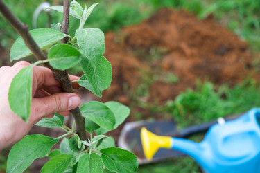 Similar image 21407698