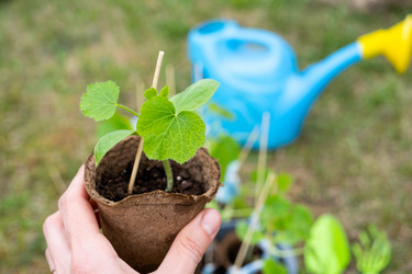 Similar image 21407703