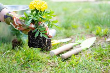 Similar image 21407719