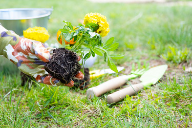 Similar image 21407721