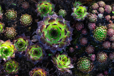 Similar image 21407722