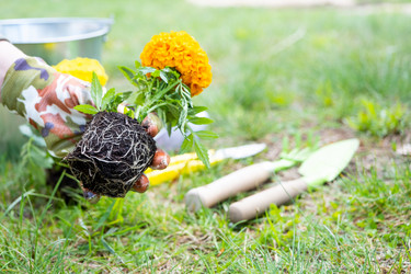 Similar image 21407725