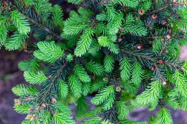 Similar image 21407726