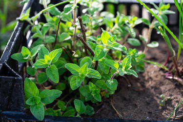 Similar image 21407728