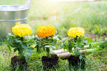 Similar image 21407729