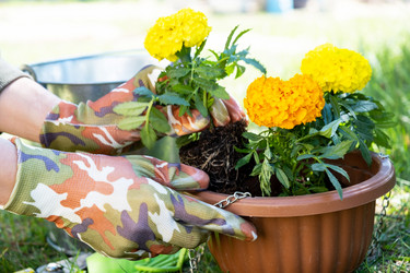 Similar image 21407735