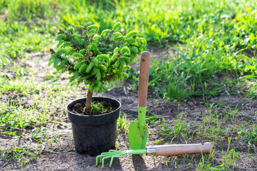 Similar image 21407736