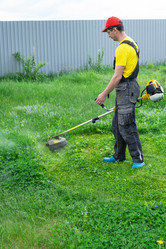 Similar image 21407738