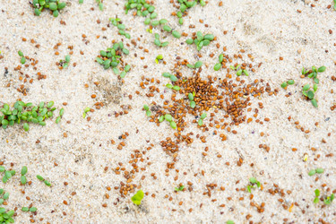 Similar image 21407746