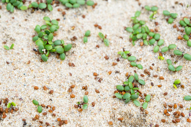 Similar image 21407750