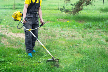 Similar image 21407751