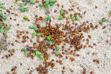 Similar image 21407756