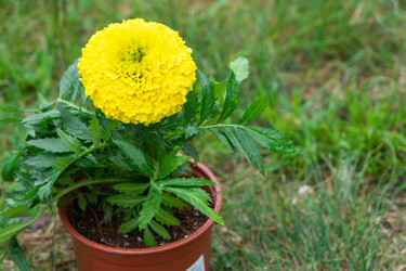 Similar image 21407760